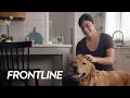 Veterinární přípravek Frontline Tri-Act Spot-On Dog L 20-40 kg 1 x 4 ml