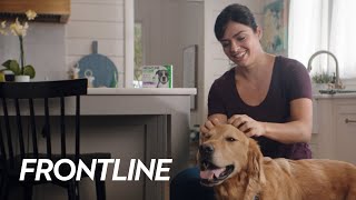 Frontline Spot-On Dog L 20-40 kg 3 x 2,68 ml