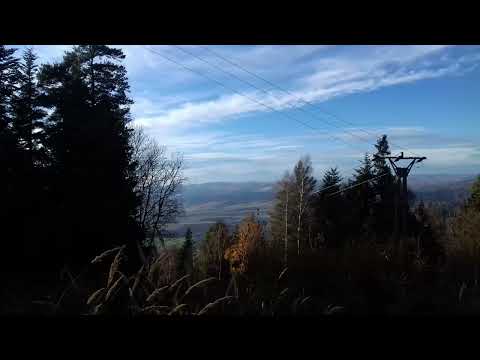 Telo Krista a krv svätá 290