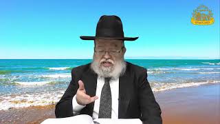 דף היומי בחצי שעה בבא קמא דף מ"ח