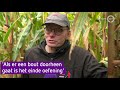 Boeren vinden meer bouten in maisveld: 'Diep triest'