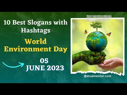 10 Best Slogans with Hashtags on World Environment Day - 05 June 2023