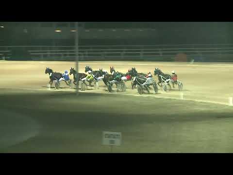 2021.12.26. 07. futam - ELEFÁNT HENDIKEP