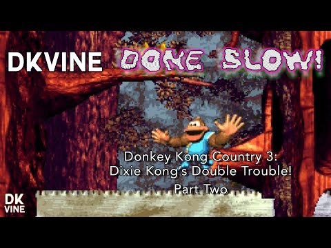 DK Vine Done Slow! - Donkey Kong Country 3: Dixie Kong's Double Trouble! (part two)
