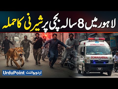 Lion Attack in Lahore: 8 Year Old Girl Attacked by a Lioness in Lahore Bhikhewala Village
