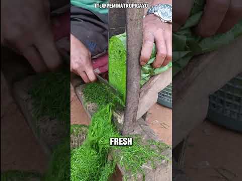 Air-Cured Tobacco #dndx1