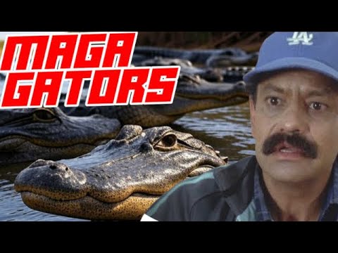  TikToker Alleges Alligators Placed in Rio Grande to Keep Out Illegal Migrants 