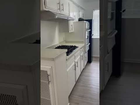 v3629 - Video 2 of 2