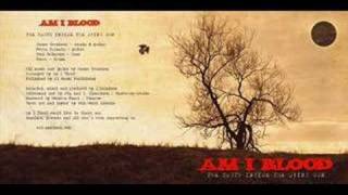 Am I Blood - The Truth Inside The Dying Sun (Sounds LIke Metallica)