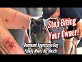 Aggressive & Dominant GSD Attacks Trainer AND FINALLY MEETS HIS MATCH!