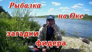 Рыбалка под тарусой на оке