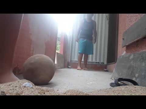 x1 bernardo vs samuel