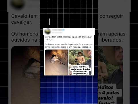 Cavalo mutilad0 em Bananal — culpados soltos e cidade em revolta