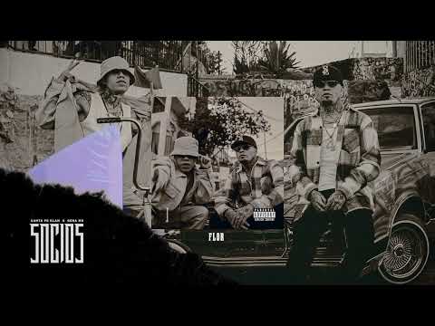 Santa Fe Klan, Gera MX - Flor (Visualizer)