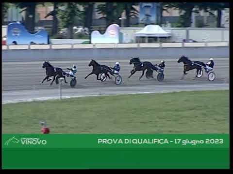 Prova Qualifica 17 giugno 2023  - Falaise Dance; Flores De Campo; Furbetto di Gio