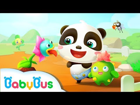 Talking Baby Panda-Virtual Pet Video
