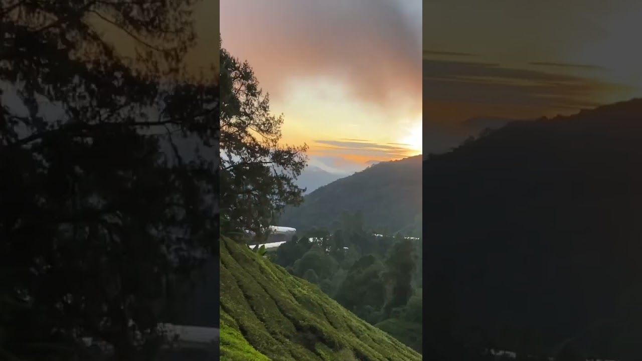 🇲🇾马来西亚金马仑日出 sunset at cameron highland #sunset #cameronhighlandsmalaysia #旅行 #travel #music #vlog