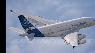 LOS TUCANES EL BORREGO