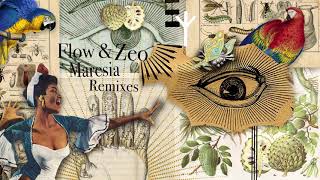 Flow & Zeo - Maresia (Sonic Future Remix) video