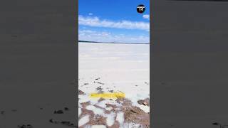 Download lagu Chagan Nur Lake Mystery Explained#facts #viral mp3