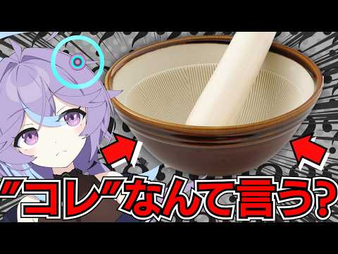 【方言雑談】岩手県民これなんて言う?まさか…【恋町ハナミ/個人vtuber】#雑談 #岩手 #vtuber