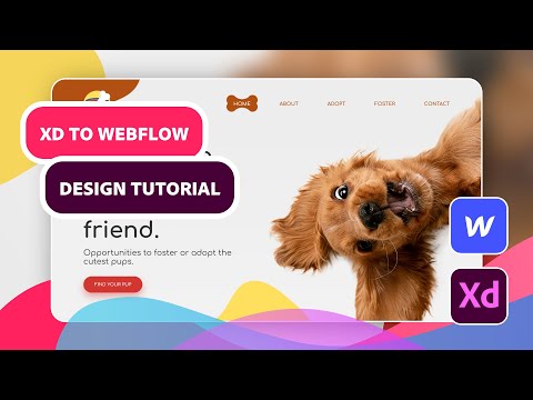 Adobe XD to Webflow Tutorial: Dog Adoption Landing Page