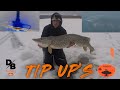 Video Thumbnail for NORTHERN PIKE TIP-UP FISHING! | Livescope and Underwater Camera Footage | Round Lake