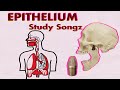 EPITHELIUM Song Study Songz