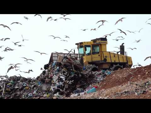 Landfill facts and statistics - A global problem