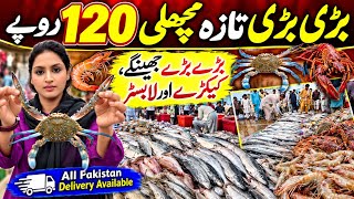 Big Fresh Fish for Only 120 Rupees 😱| Huge Prawns,Crabs & Lobsters | K