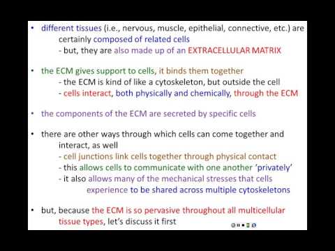 Lecture 19 - Cell Communities - Part 1 - Chapter 20