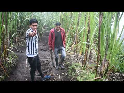 Proceso de elaboracion del agua ardiente artesanal JimBlogs ft Alto tv