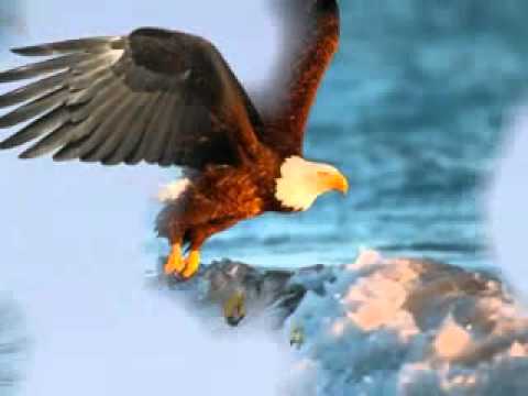 James Rogers - Fly, Eagle, Fly