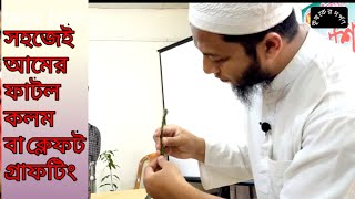 ভিডিও-১৪