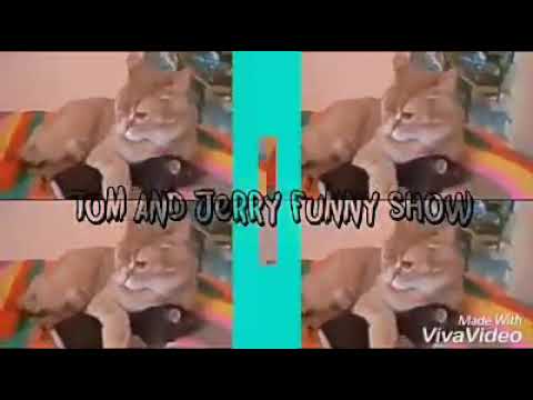 Tom and Jerry funny show
