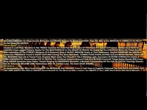 SeraphGuard/SnakeVersusCrane - Short Stories -13- Quiet Contemplation (Killer Falcon, Stranded).mp4