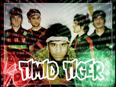 Ring The Bells (Timid Tiger Christmas-Song)