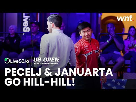 Pecelj & Januarta play out HILL-HILL CLASSIC! | 2025 US Open Pool Championship