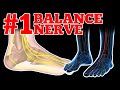 What is the Deep Peroneal Nerve (DPN) and Does if Affect Your Balance?