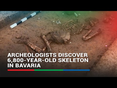 Archeologists discover 6,800-year-old skeleton in Bavaria