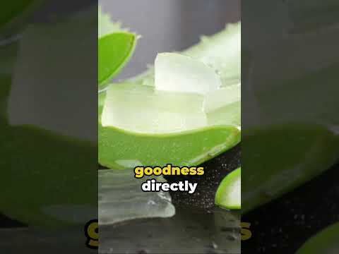 Aloe Vera: Your Skin's Best Friend