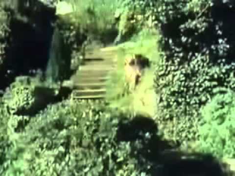 Doctor Who Episode Tribute No.75 - The Masque Of Mandragora