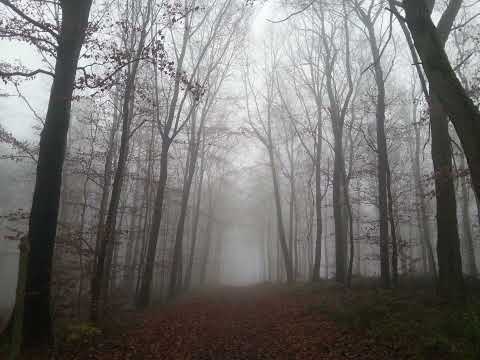 Korrekter Kollege - Deep Dubz 2020