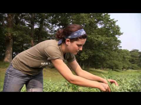 Massachusetts Farm School: America's Heartland