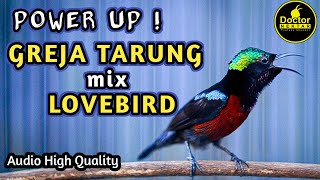 Download lagu MASTERAN KONIN GACOR FULL ISIAN GREJA TARUNG SAMBUNG LOVEBIRD AMPUH UNTUK KOLIBRI NINJA BAHAN LOMBA mp3