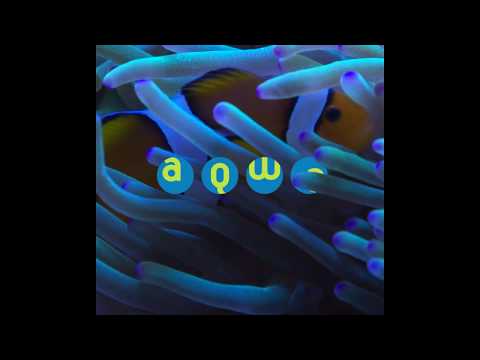 AQWA - The Aquarium of Western Australia