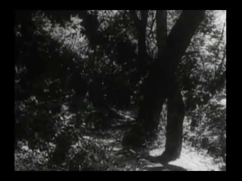 Thumbnail of the video: Original Daniel Boone Opening