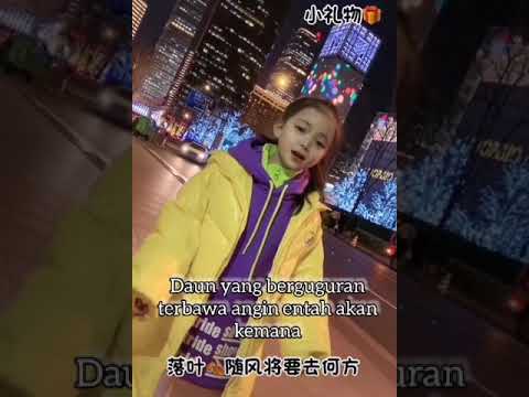 Tian Shi De Chi Bang