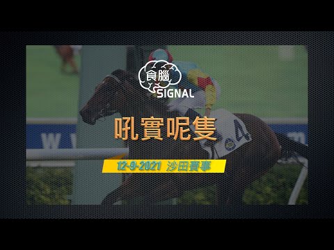 吼實呢隻12-9-2021