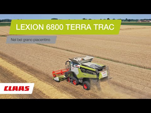 CLAAS In Campo 2020- LEXION 6800 TT nel grano piacentino